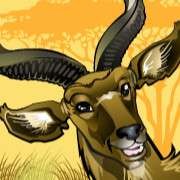 Antilope symbool bij Mega Money