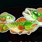 Symboolvis in grote vis